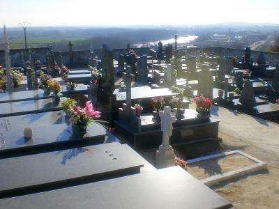 Visita al cementerio